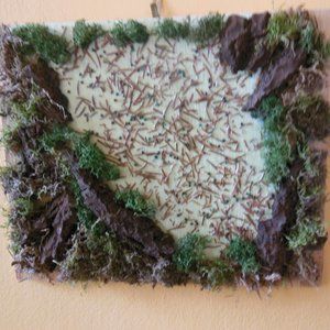 Moss & Bark Original Artwork - Holiday design